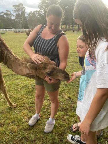 Farm stay Lappi Farm
