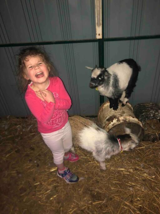 Lappi Farm Farm stay Berridale